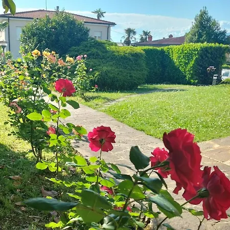 Casa Viale Delle Rose لاتيزي